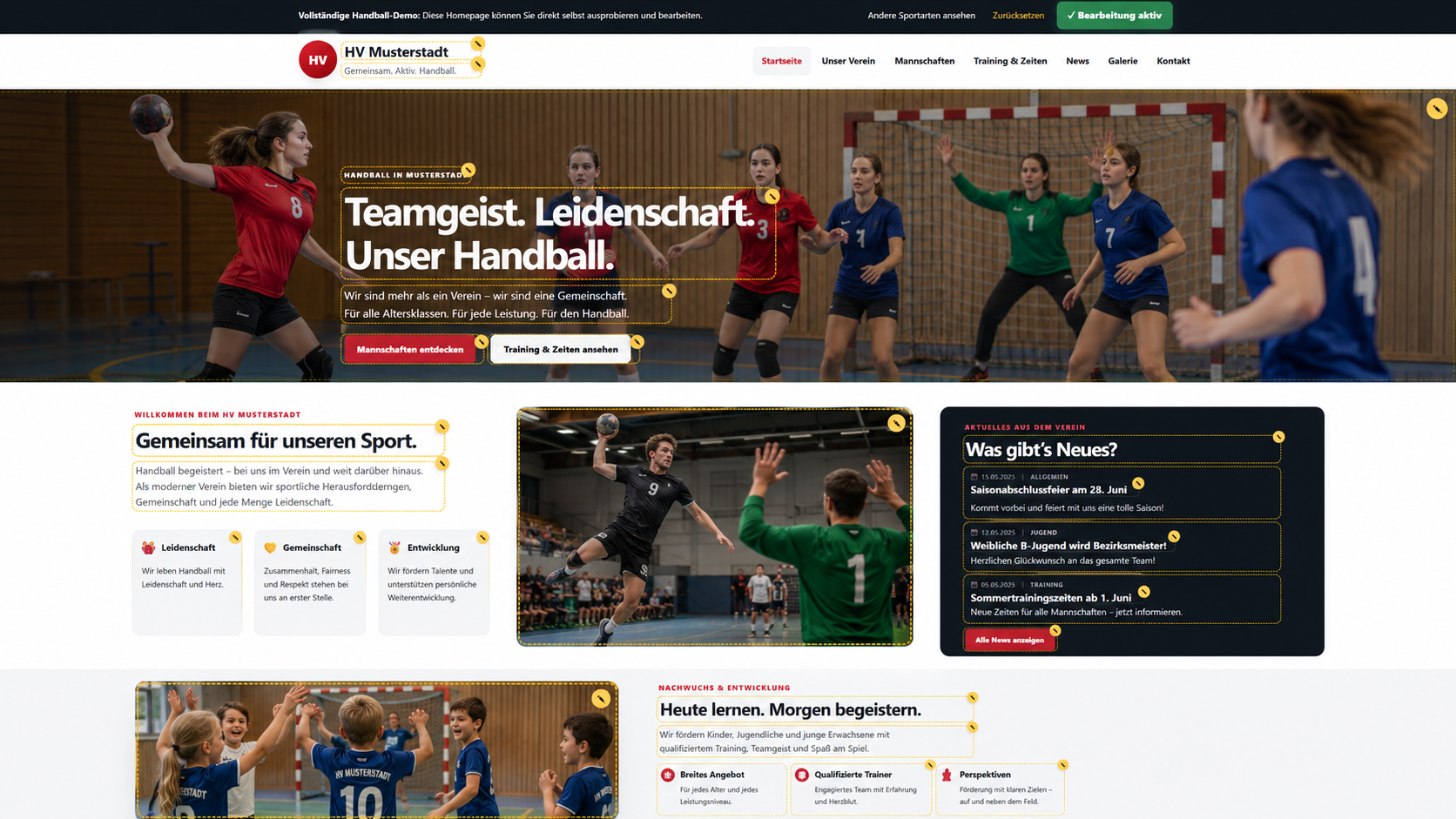 Beispiel Vereins-Homepage 🤾 Handball